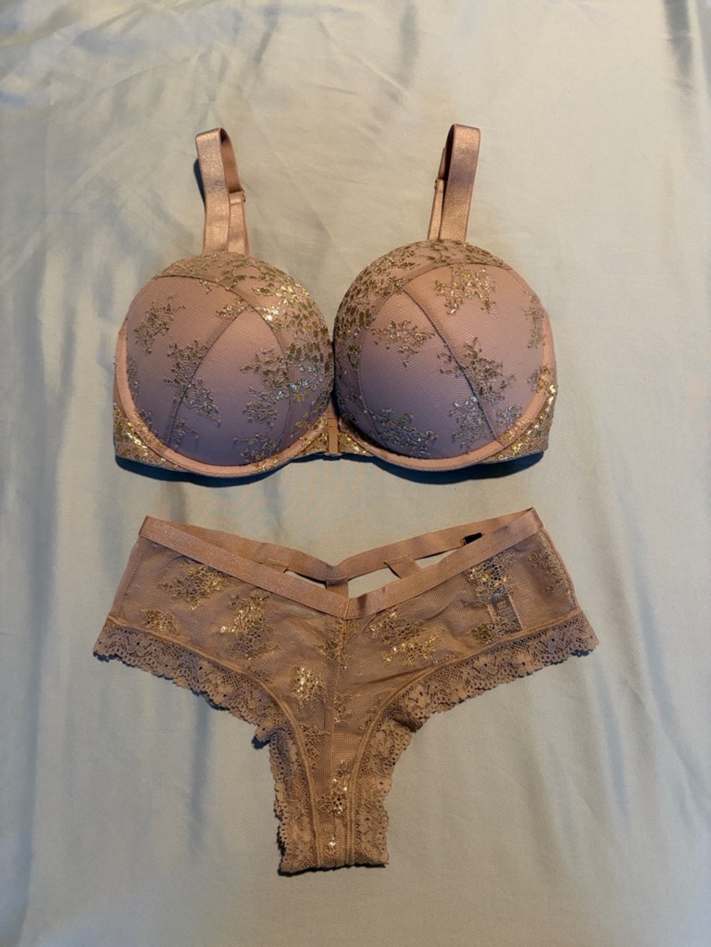 Lace Embroidered Push-Up Bra & Bikini Set